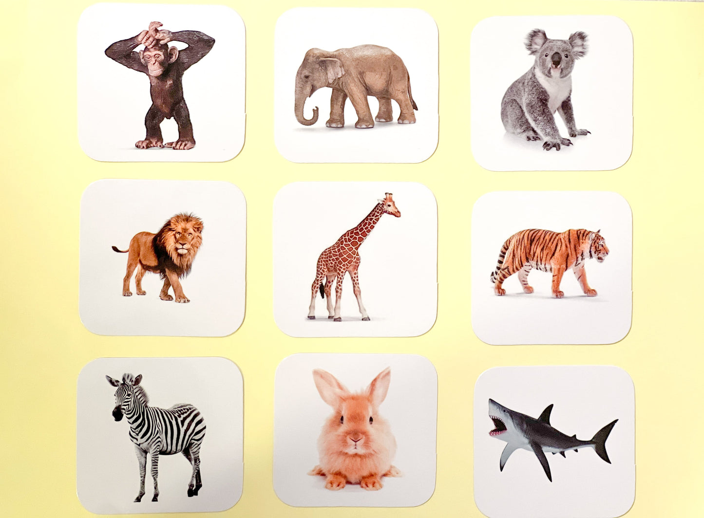 Set životinje (14m+)