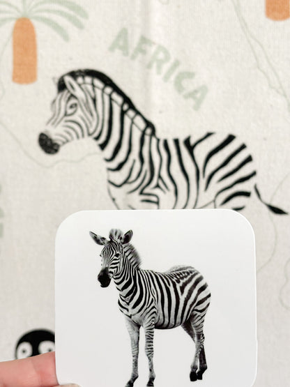 Set životinje (14m+)