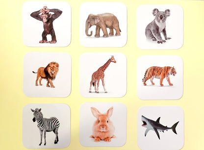 Set životinje (14m+)