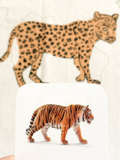 Set životinje (14m+)