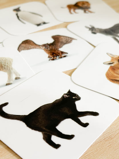 Set životinje (14m+)